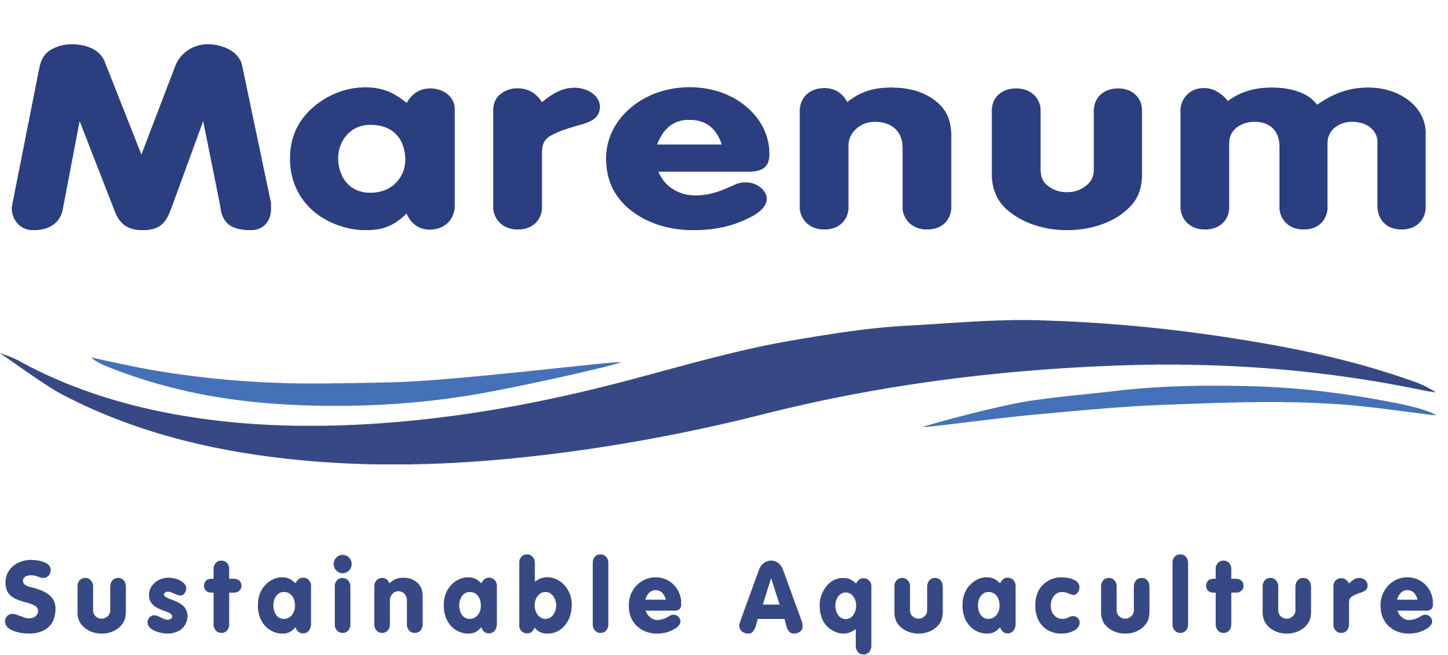 Marenum